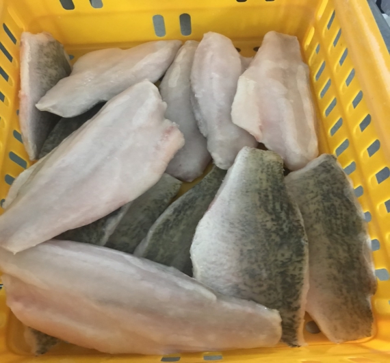 Cá chẽm fillet ( cá vược ) 1kg size 300/500g